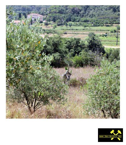 Zergruster Mittelelbagranit nahe Bivio Boni bei Portoferraio, Insel Elba, Italien - 17. Juli 2023 (13).JPG